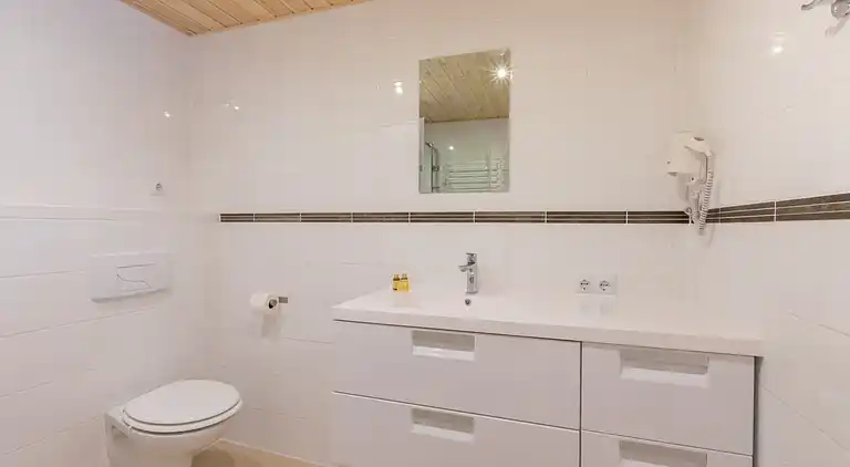 Sommerhus i Zoutelande