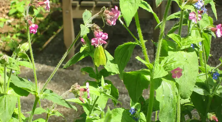 Holiday home in Hellendoorn
