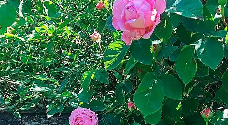 Holiday home in Væggerløse