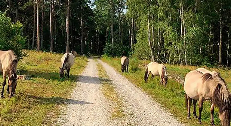 Holiday home in Væggerløse