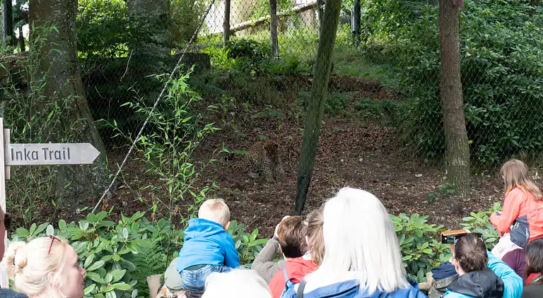 Campaya test property