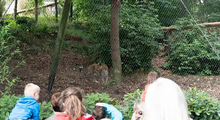 Campaya test property