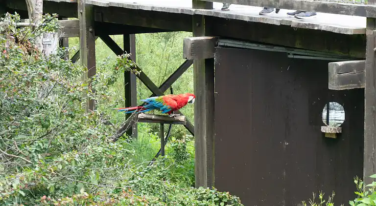 Campaya test property