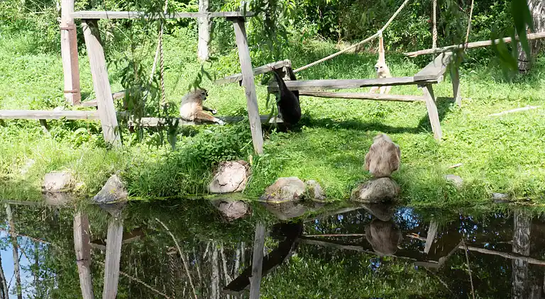 Campaya test property