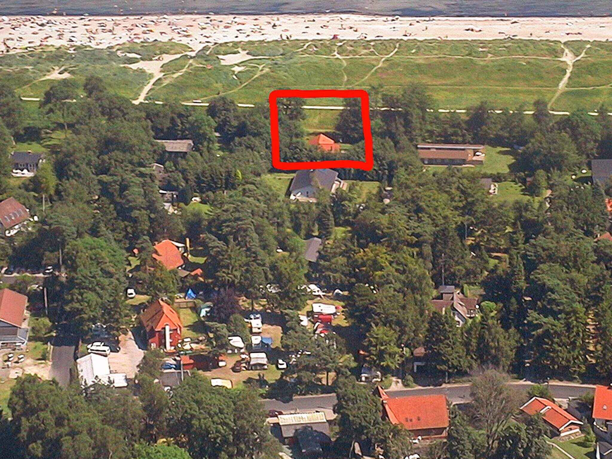 Large Image