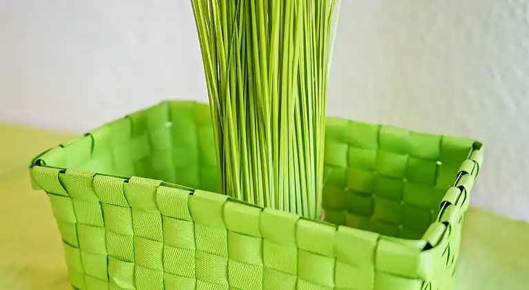 Ferielejlighed i Duisburg-Mitte