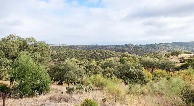 Holiday home in Peñaflor