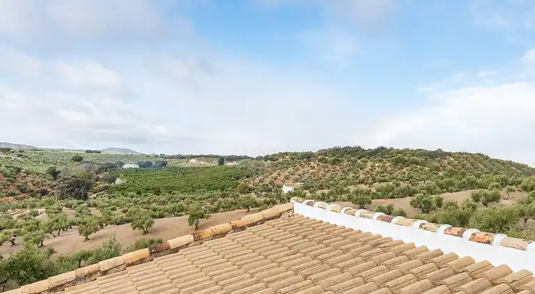 Holiday home in Peñaflor