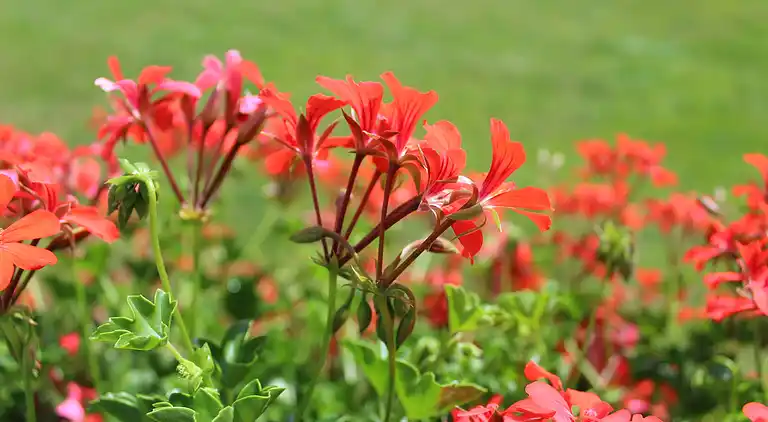 Ferielejlighed i Klosterreichenbach