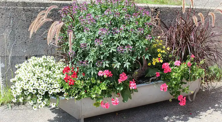 Ferielejlighed i Klosterreichenbach