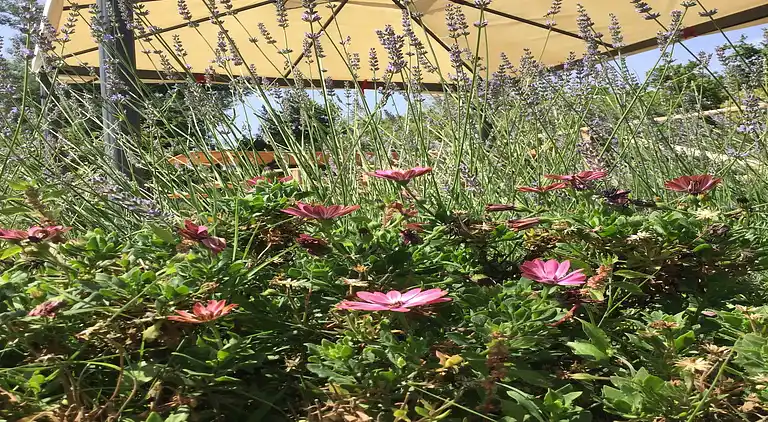 Holiday home in Mascali