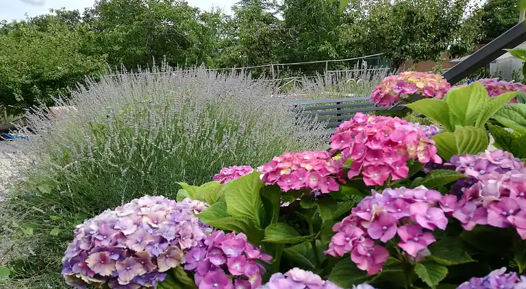 Holiday home in Mascali