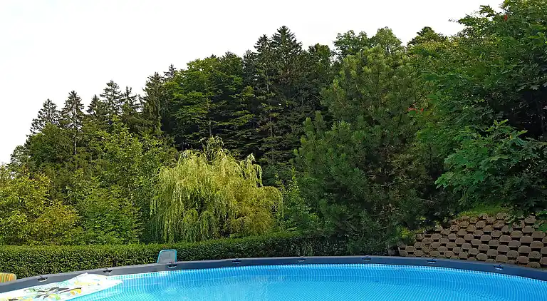 Holiday home in Sveti Lenart