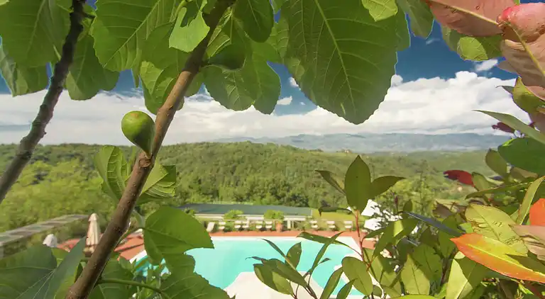 Vakantiehuis in Gaville