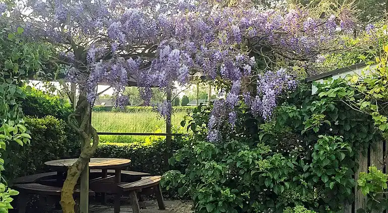 Sommerhus i Skovmose