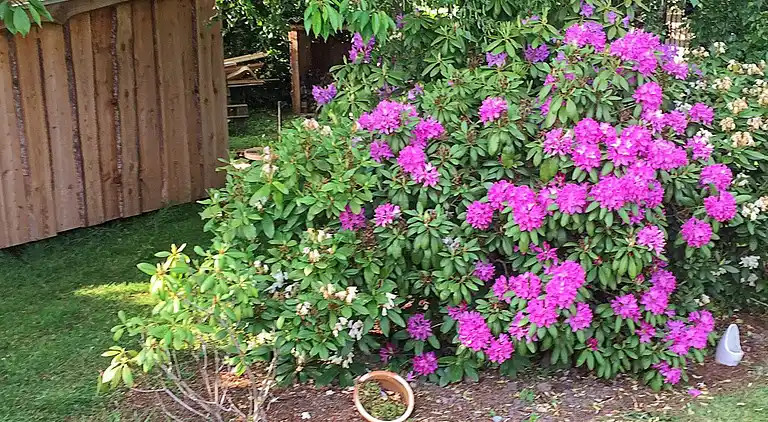 Sommerhus i Skovmose