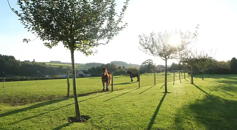Holiday home in Falaën