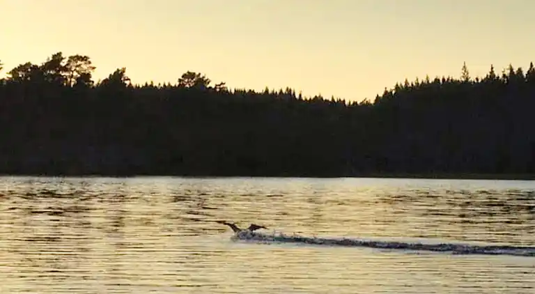 Feriebolig i Munkedal Ö