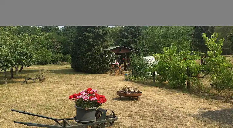 Apartment in Alt Farpen