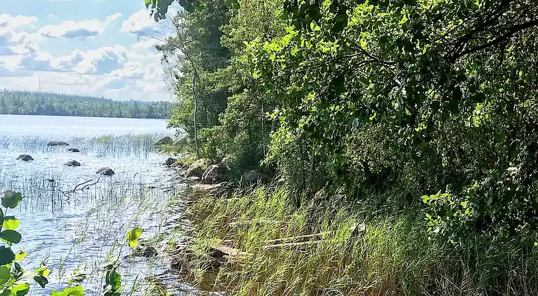 Ferienhaus in Hylte S