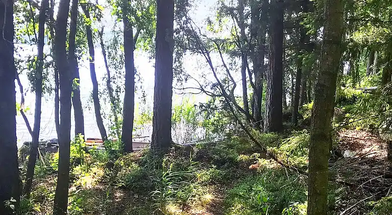 Ferienhaus in Hylte S