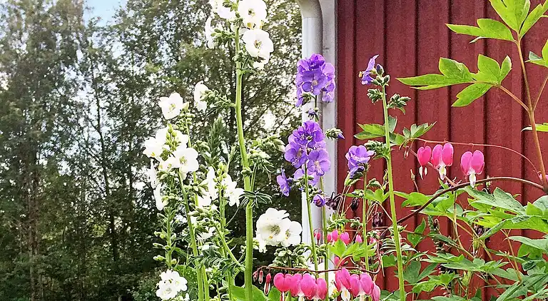 Ferienhaus in Hylte S