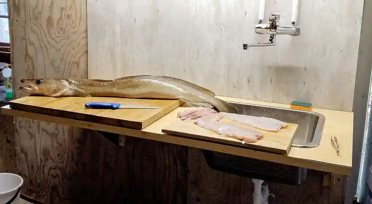 Holiday home in Kvingo