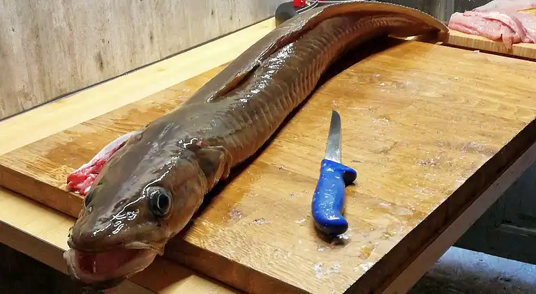 Holiday home in Kvingo