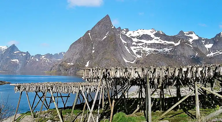 Maison de vacances au Vestvågøy