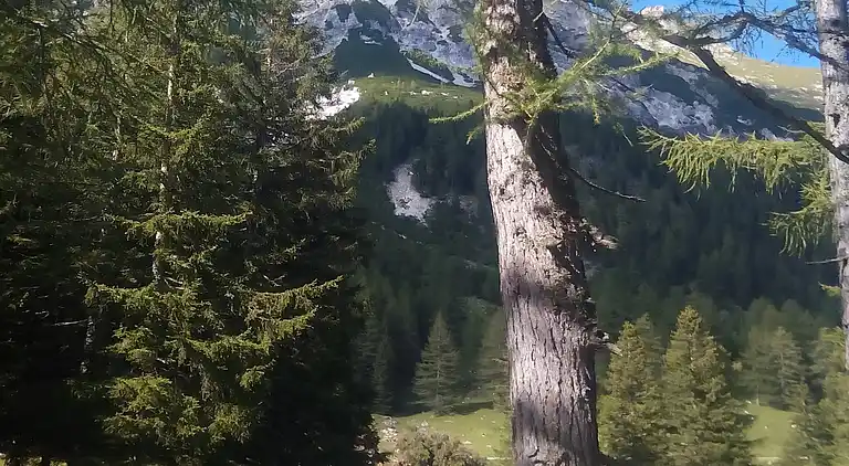 Cottage in Mauterndorf