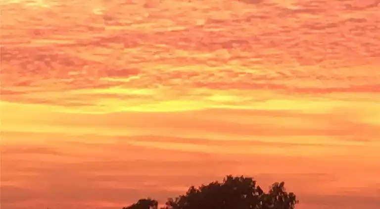 Feriebolig i Allingåbro