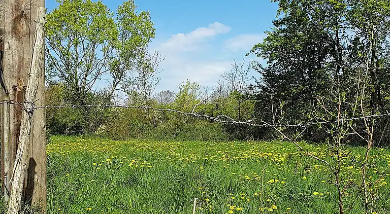 Casa vacanze in Borgholm C