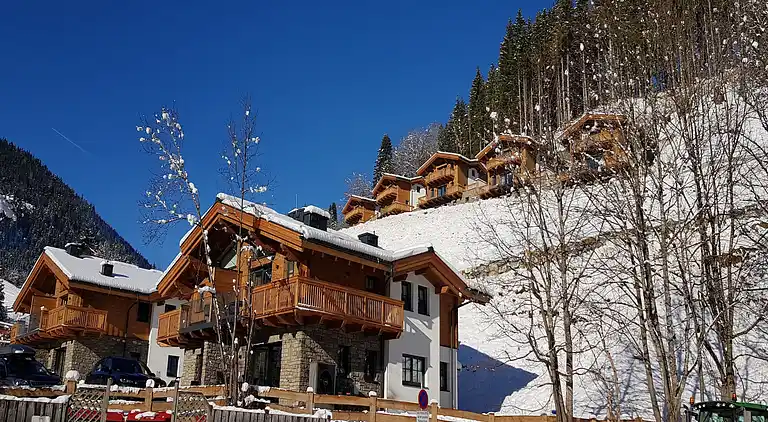 Cottage in Mühlbach am Hochkönig
