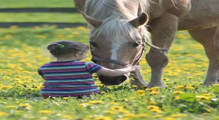 Ferielejlighed ved Østersøkysten Tyskland