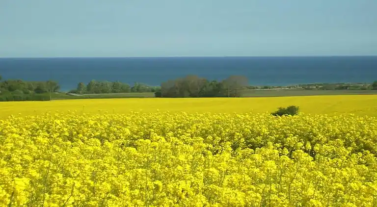 Herrgård i Kägsdorf