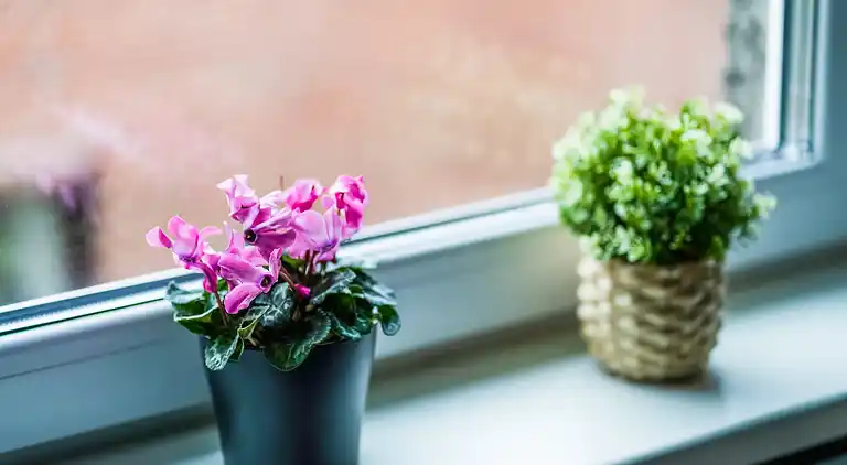 Apartment in Hörnerkirchen