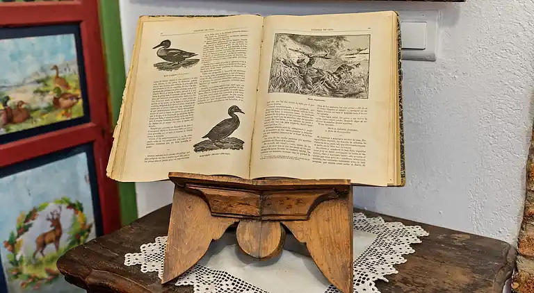 Sommerhus i Membrío