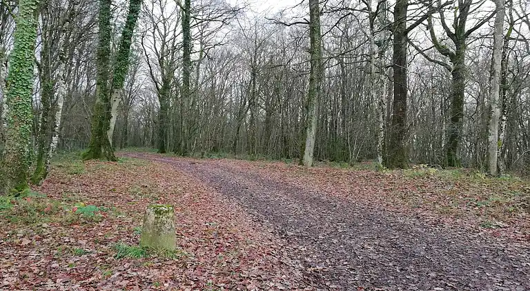 Holiday home in Bona