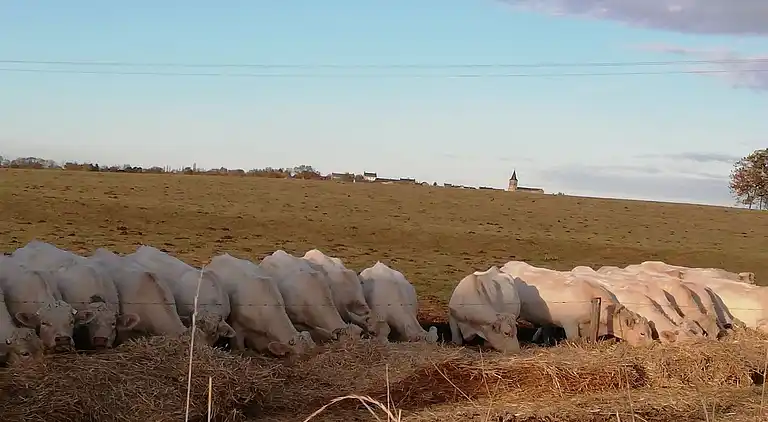 Holiday home in Bona