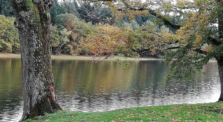 Holiday home in Bona