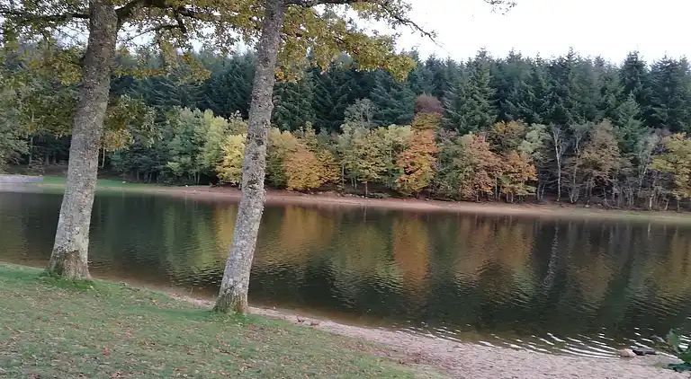 Holiday home in Bona