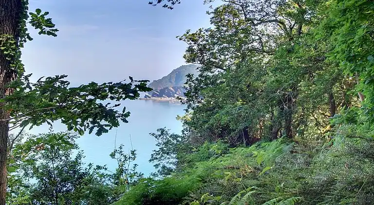 Sommerhus i Parracombe