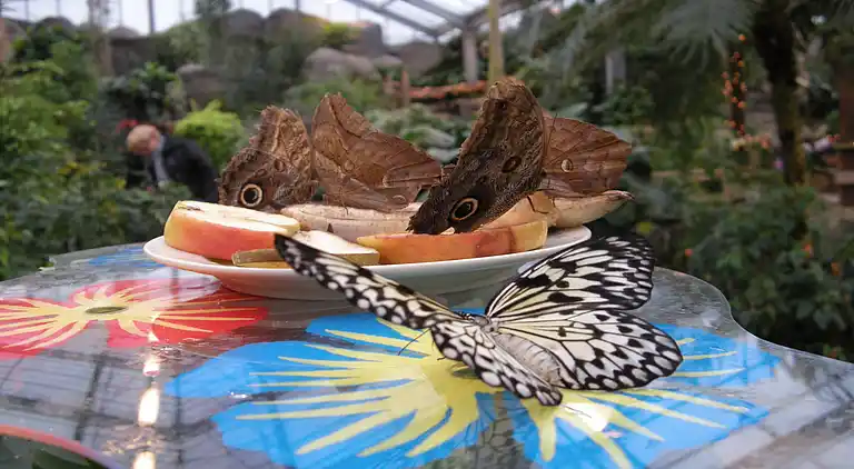 Semesterbostad i Sondel