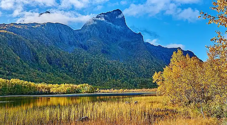 Sommerhus i Hamarøy