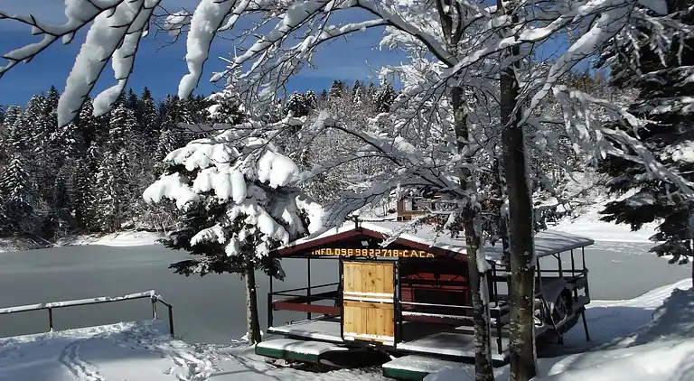 Holiday home in Lokve