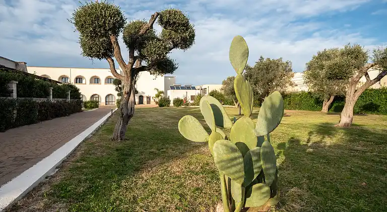 Sommerhus i San Vito dei Normanni