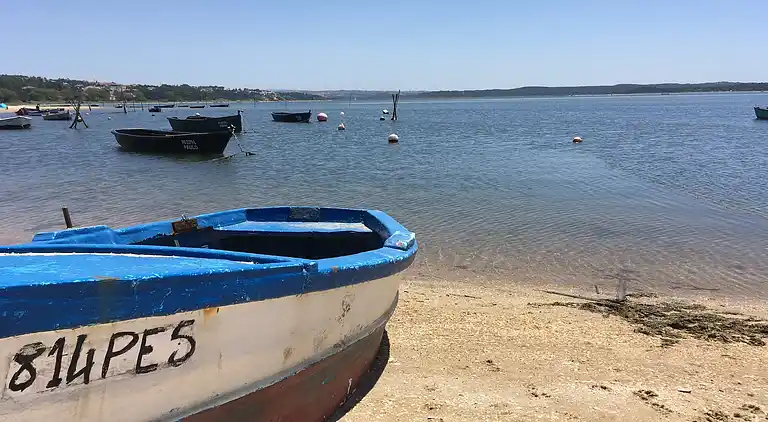 Villa in Foz do Arelho