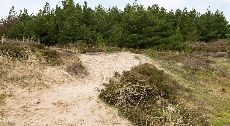 Holiday home in Blåvand