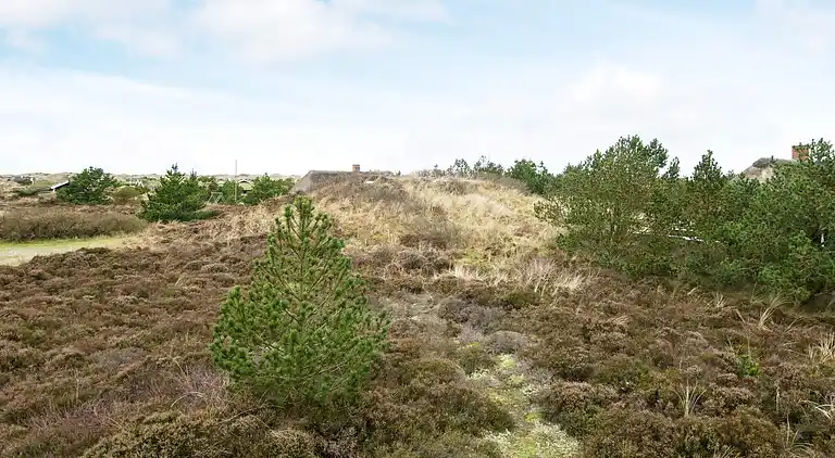 Holiday home in Blåvand