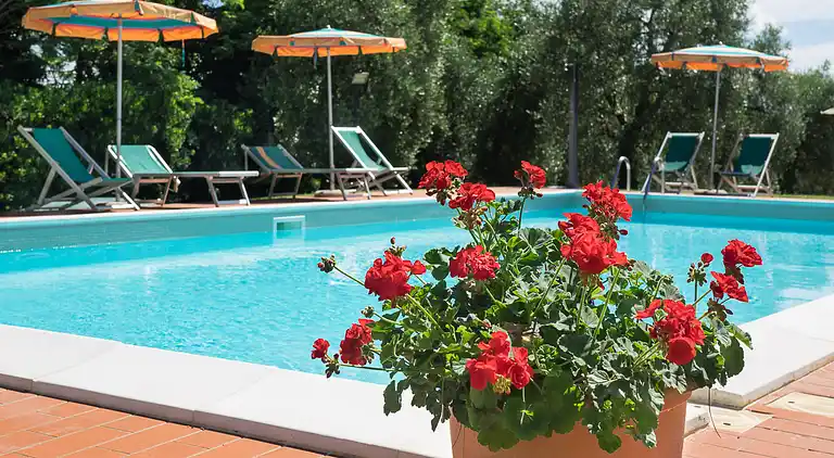 Apartments with swimming pool and good wine 